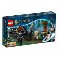 LEGO® Harry Potter 76400 - Hogwarts™ Kutsche mit Thestralen