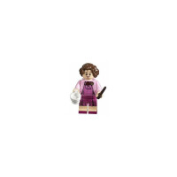 LEGO® Harry Potter 5005254 - Minifigurensammlung