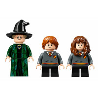 LEGO® Harry Potter 76382 - Hogwarts™ Moment: Verwandlungsunterricht