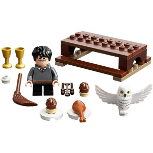 LEGO® Harry Potter 30420 - Harry Potter™ und Hedwig™: Eulenlieferung